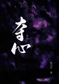 夺心好妾小说点评