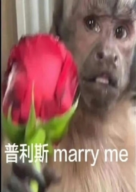 赵薇唱了哪些歌