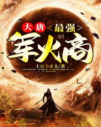 大唐军火商 小说